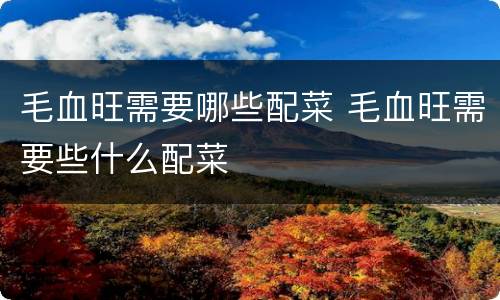 毛血旺需要哪些配菜 毛血旺需要些什么配菜