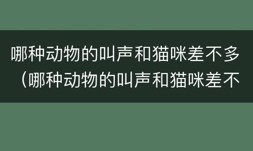 哪种动物的叫声和猫咪差不多（哪种动物的叫声和猫咪差不多?小鸡和猎豹）
