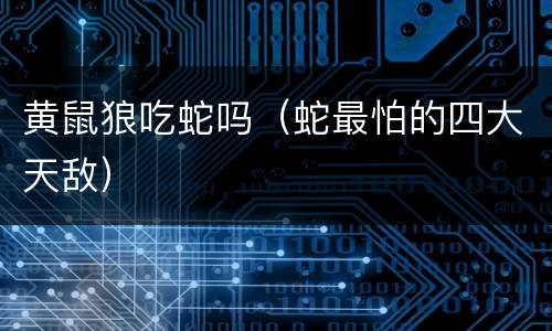 黄鼠狼吃蛇吗（蛇最怕的四大天敌）