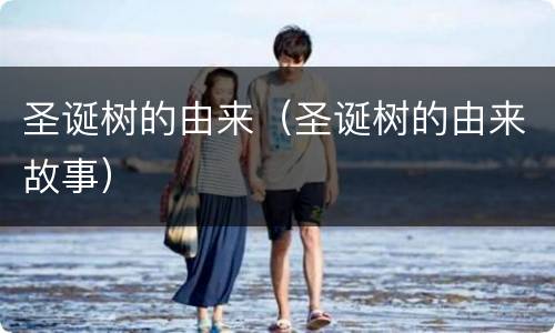 圣诞树的由来（圣诞树的由来故事）