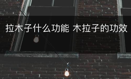 拉木子什么功能 木拉子的功效