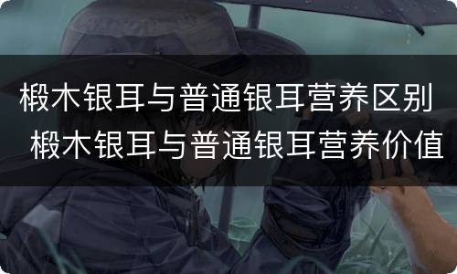椴木银耳与普通银耳营养区别 椴木银耳与普通银耳营养价值有区别么