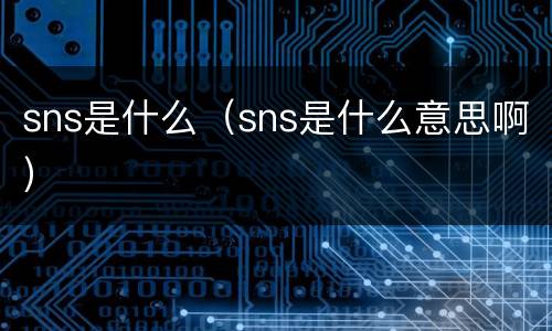 sns是什么（sns是什么意思啊）
