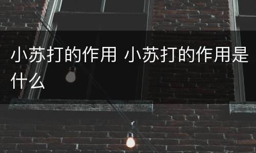 小苏打的作用 小苏打的作用是什么