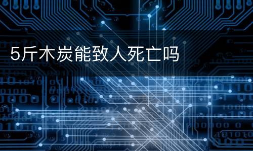 5斤木炭能致人死亡吗