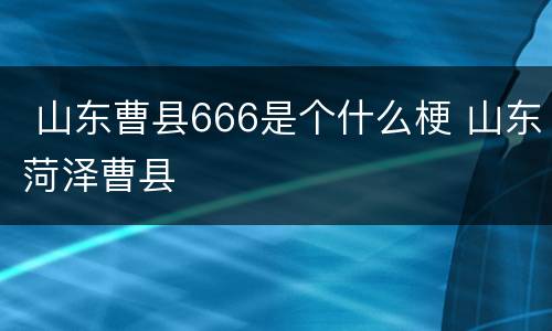  山东曹县666是个什么梗 山东菏泽曹县
