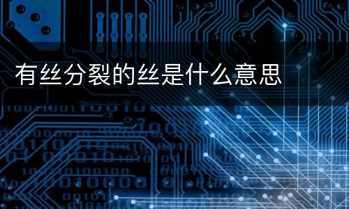 有丝分裂的丝是什么意思