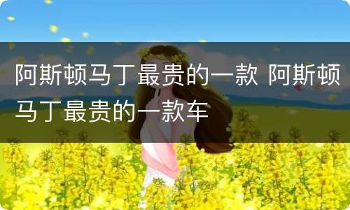 阿斯顿马丁最贵的一款 阿斯顿马丁最贵的一款车