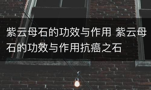 紫云母石的功效与作用 紫云母石的功效与作用抗癌之石