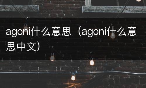 agoni什么意思（agoni什么意思中文）