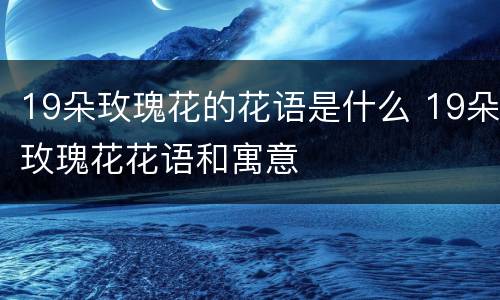 19朵玫瑰花的花语是什么 19朵玫瑰花花语和寓意