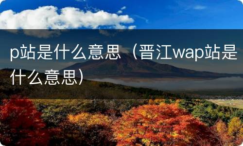 p站是什么意思（晋江wap站是什么意思）