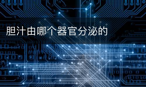 胆汁由哪个器官分泌的
