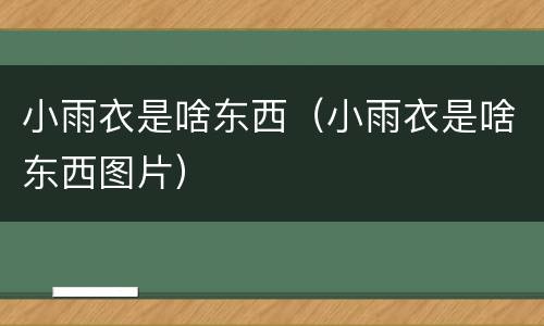 小雨衣是啥东西（小雨衣是啥东西图片）