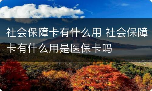 社会保障卡有什么用 社会保障卡有什么用是医保卡吗