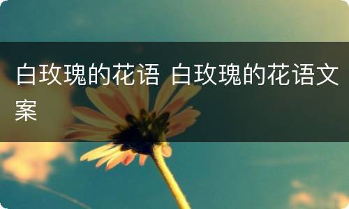 白玫瑰的花语 白玫瑰的花语文案