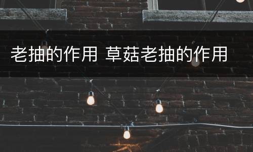老抽的作用 草菇老抽的作用