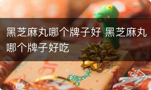 黑芝麻丸哪个牌子好 黑芝麻丸哪个牌子好吃