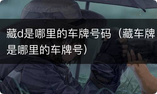 藏d是哪里的车牌号码（藏车牌是哪里的车牌号）