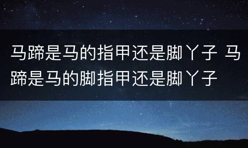 马蹄是马的指甲还是脚丫子 马蹄是马的脚指甲还是脚丫子