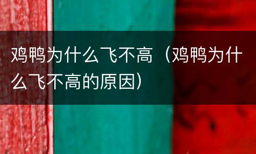 鸡鸭为什么飞不高（鸡鸭为什么飞不高的原因）