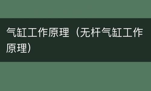 气缸工作原理（无杆气缸工作原理）
