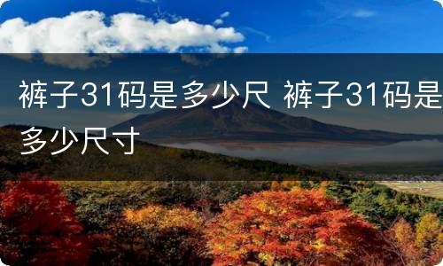 裤子31码是多少尺 裤子31码是多少尺寸