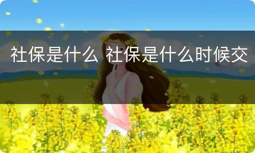 社保是什么 社保是什么时候交