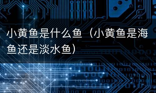 小黄鱼是什么鱼（小黄鱼是海鱼还是淡水鱼）