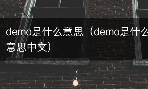 demo是什么意思（demo是什么意思中文）