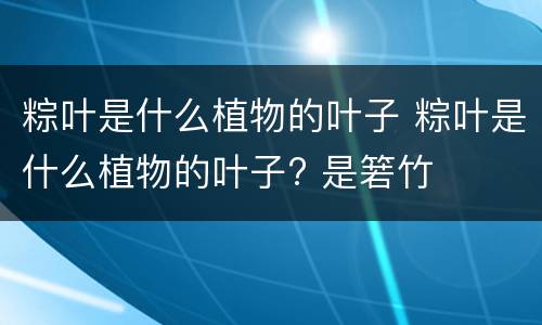 粽叶是什么植物的叶子 粽叶是什么植物的叶子? 是箬竹