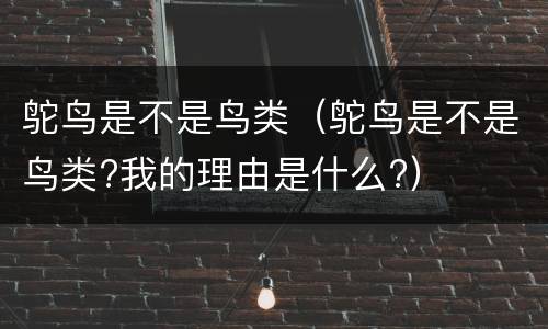 鸵鸟是不是鸟类（鸵鸟是不是鸟类?我的理由是什么?）