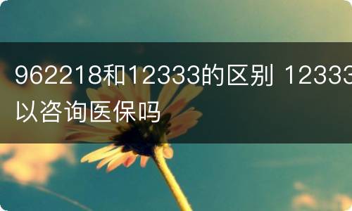 962218和12333的区别 12333可以咨询医保吗