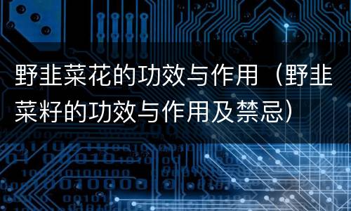野韭菜花的功效与作用（野韭菜籽的功效与作用及禁忌）