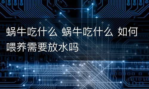 蜗牛吃什么 蜗牛吃什么 如何喂养需要放水吗