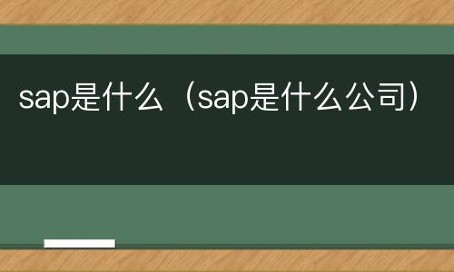 sap是什么（sap是什么公司）