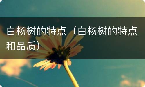 白杨树的特点（白杨树的特点和品质）