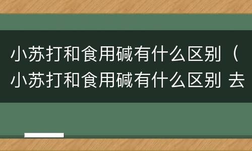 小苏打和食用碱有什么区别（小苏打和食用碱有什么区别 去污）