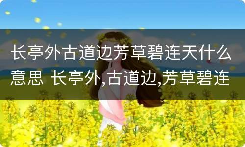 长亭外古道边芳草碧连天什么意思 长亭外,古道边,芳草碧连天是啥意思