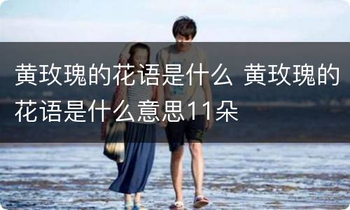 黄玫瑰的花语是什么 黄玫瑰的花语是什么意思11朵