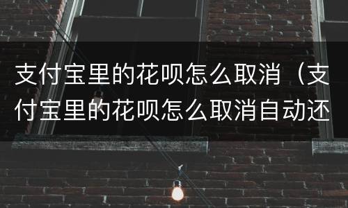 支付宝里的花呗怎么取消（支付宝里的花呗怎么取消自动还款）