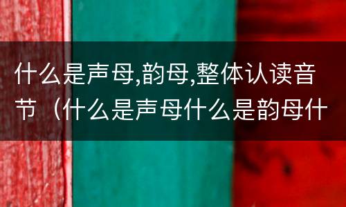 什么是声母,韵母,整体认读音节（什么是声母什么是韵母什么是整体认读）