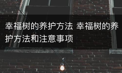 幸福树的养护方法 幸福树的养护方法和注意事项
