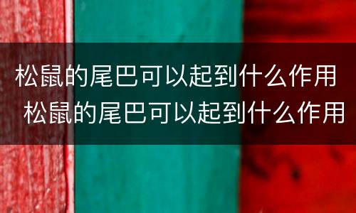 松鼠的尾巴可以起到什么作用 松鼠的尾巴可以起到什么作用
