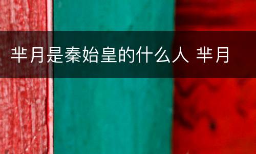 芈月是秦始皇的什么人 芈月