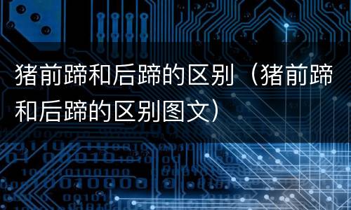 猪前蹄和后蹄的区别（猪前蹄和后蹄的区别图文）