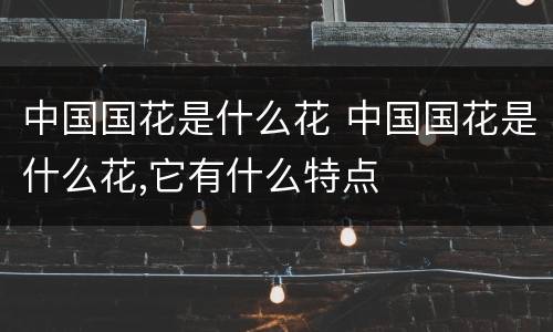 中国国花是什么花 中国国花是什么花,它有什么特点