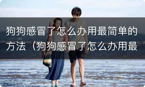 狗狗感冒了怎么办用最简单的方法（狗狗感冒了怎么办用最简单的方法吃药）