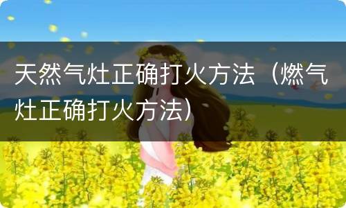 天然气灶正确打火方法（燃气灶正确打火方法）