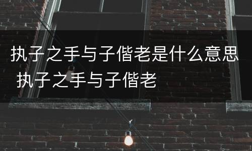 执子之手与子偕老是什么意思 执子之手与子偕老